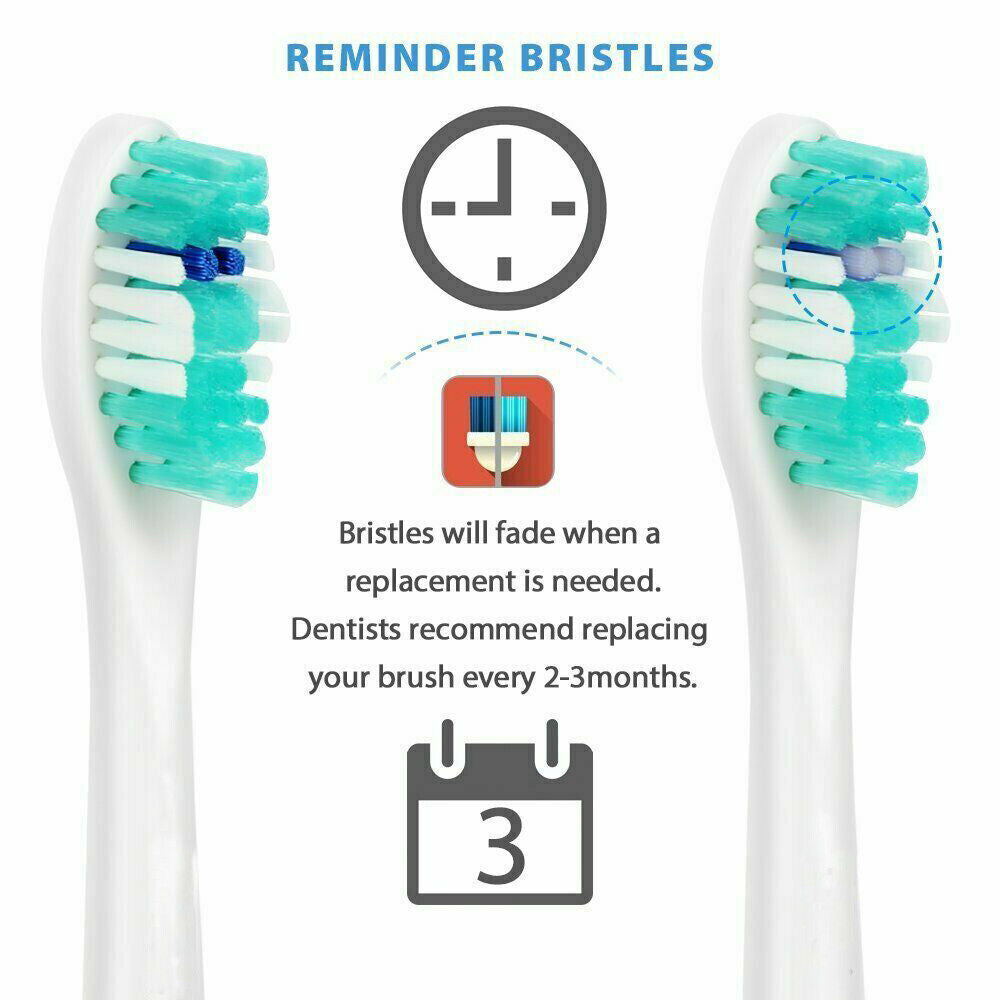 8Pcs Replacement Toothbrush