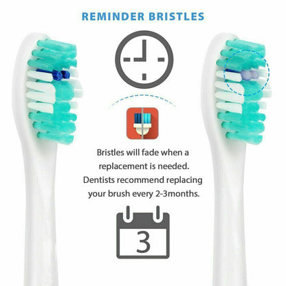 8Pcs Replacement Toothbrush