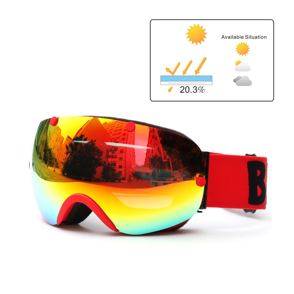 Winter Ski Goggles