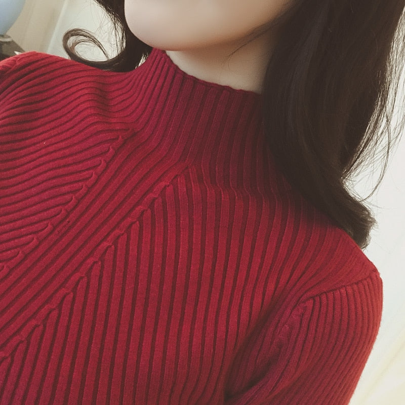 Women Turtleneck Sweater