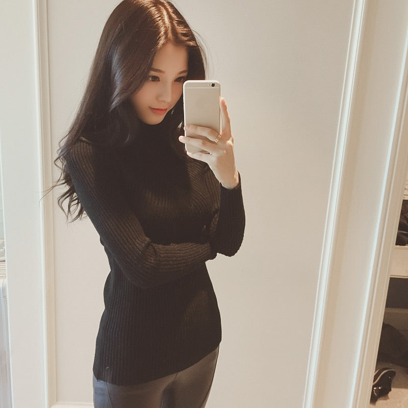 Women Turtleneck Sweater