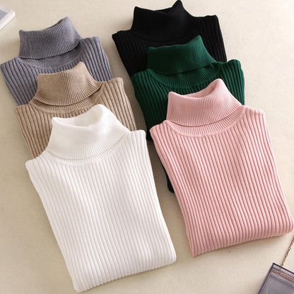 Women Turtleneck Sweate