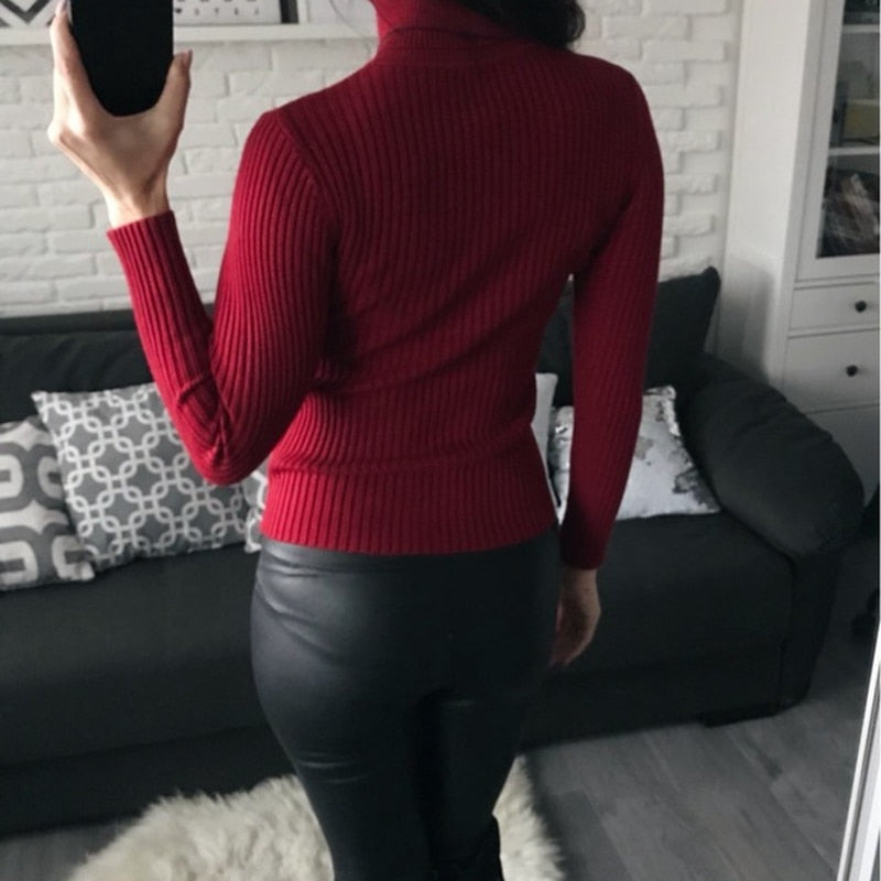 Women Turtleneck Sweate