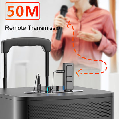 Professional VHF Wireless Microphone Handheld