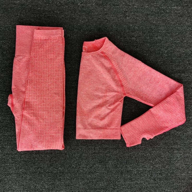 Women Seamless yoga Fitness set