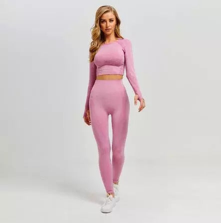 Women Seamless yoga Fitness set