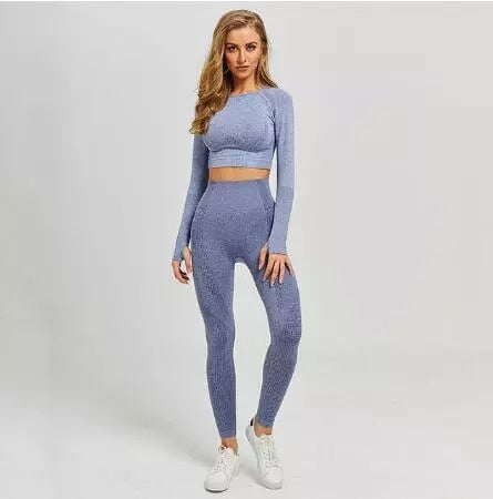 Women Seamless yoga Fitness set