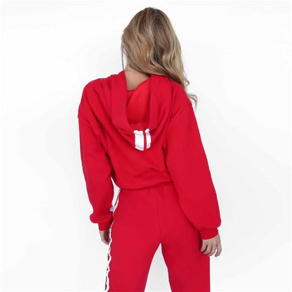 ZP- 2019summer Autumn Two Pieces Set Hoodie Top And Pant Tracksuit Women Set Elastic Waist Leisure 2 Piece Set Women Outfits